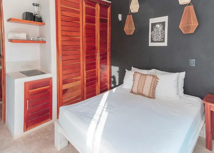 Naats Amigos Tulum